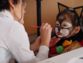 carnaval_2001/DSC00558.JPG