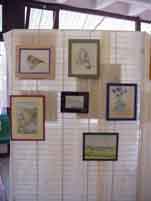 Exposition d'aquarelles